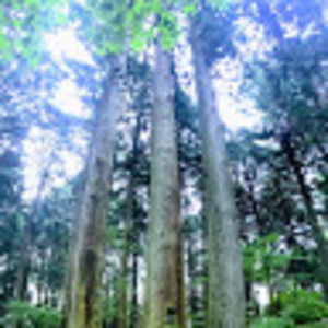 Meet your Posher, Mercedes